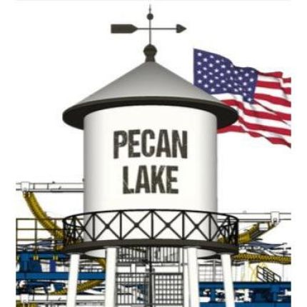 Logo from Pecan Lake Entertainment