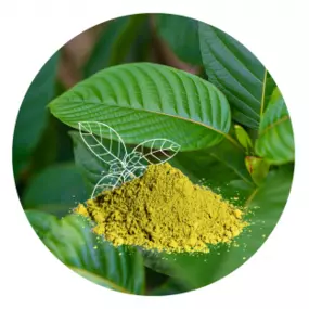 Bild von Z-listí | KRATOM eshop