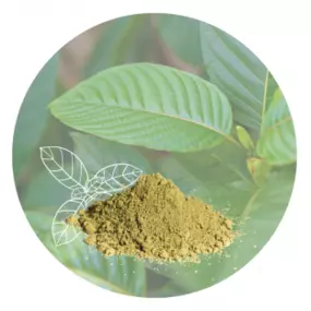 Bild von Z-listí | KRATOM eshop