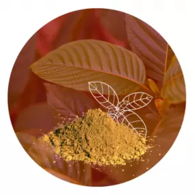 Bild von Z-listí | KRATOM eshop