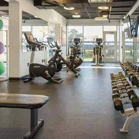 Health club  fitness center  gym