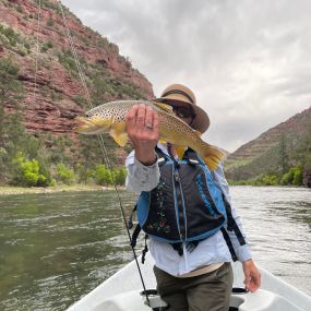 Bild von Trout Creek Flies