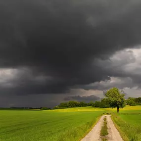 Our thoughts and prayers are with our community and State Farm family. We know these storms can be scary and the cleanup process is intimidating. Here are a few things to check in the aftermath:
-check basements and sump pumps
-inspect roof and shingles 
-check on trees and limbs that might not have fallen yet
Reach out to us if you need anything or have questions- we are here for you!