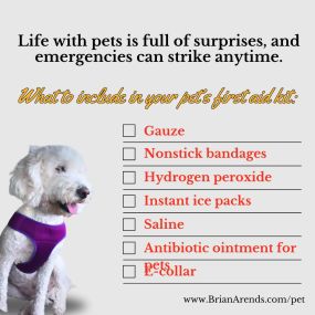 Life with pets is full of surprises and emergencies. Be ready with a well-stocked pet first aid kit for any situation. Swipe to see our recommendations! Team Brian Arends is here for your furry friends in sickness and in health.