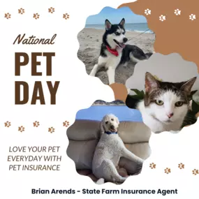 On this special day of celebrating our beloved pets, don't forget to protect them too! Show them how much you care by getting them the coverage they deserve with pet insurance. Give our office a call today for a quote and ensure their health and well-being for years to come.