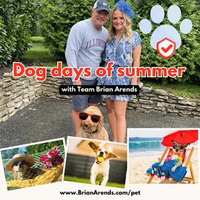 Don't let the dog days of summer dig a hole in your budget! 
At #TeamBrianArends, we are ready to help you keep your furry family members cool and covered this summer.