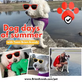 Don't let the dog days of summer dig a hole in your budget! 
At #TeamBrianArends, we are ready to help you keep your furry family members cool and covered this summer.