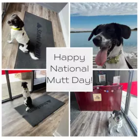 Happy National Mutt Day! 

Will Jones - State Farm Insurance Agent