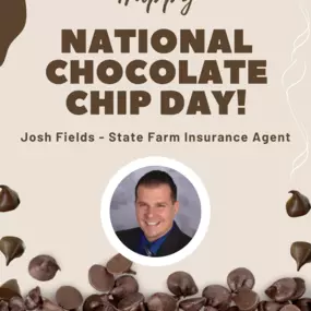 Josh Fields - State Farm Insurance Agent