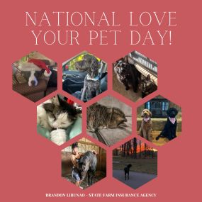 ???? Happy National Love Your Pet Day! What better way to show them love than to make sure they’re protected! We do indeed offer pet insurance! Give us a call to protect your furry family member! ???????? Also enjoy some pictures of our loved ones! Feel free to post yours too! ????
#thelibunaoagency #loveyourpet #petinsurance #callus #protectyourlovedones❤️