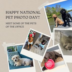 Celebrate National Pet Photo Day with us! ???? Our team’s pups are just as adorable as they are loved. Protect your pets with our pet insurance plans, because they deserve the best!