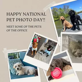 Celebrate National Pet Photo Day with us! ???? Our team’s pups are just as adorable as they are loved. Protect your pets with our pet insurance plans, because they deserve the best!