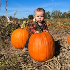 Tate want's you to know- Having the right insurance coverage can help you enjoy a worry-free Halloween! Liability coverage can protect you if any unexpected mishaps occur on your property, like an overenthusiastic ghost or zombie tripping over your decorations!