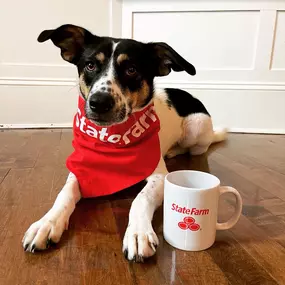 Enjoy your coffee, we've got your back! From pet insurance to home coverage, we've got benefits that keep you worry-free. ????☕