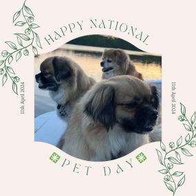 Happy National Pet Day! Whether they bark, meow, chirp, or squeak, our furry (or not-so-furry) friends bring so much joy to our lives. Show them some extra love today and cherish the endless snuggles and wet kisses they give us every day.