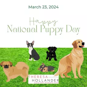 Happy National Puppy Day! Make sure to celebrate by protecting your fur baby with pet insurance! Because accidents happen, and you don't want any unexpected vet bills ruining the fun. Get a quote today and give your pup the best care possible.