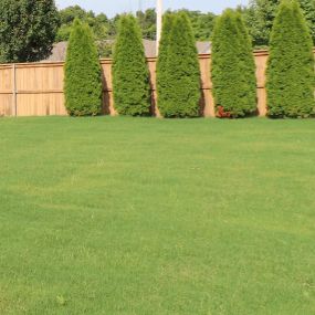 Fertilization & Weed Control in Northwest Arkansas