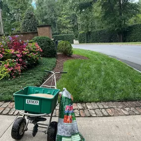 Our overseeding service involves spreading turf-type tall fescue seeds across your lawn to fill bare and patchy areas