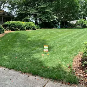 we will apply pre-emergent weed control to help prevent weeds from popping up