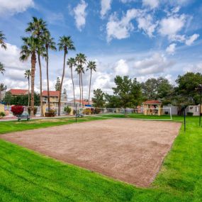 sand volleyball court with palm trees and green grass