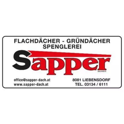 Logo von Werner Sapper Ges.m.b.H