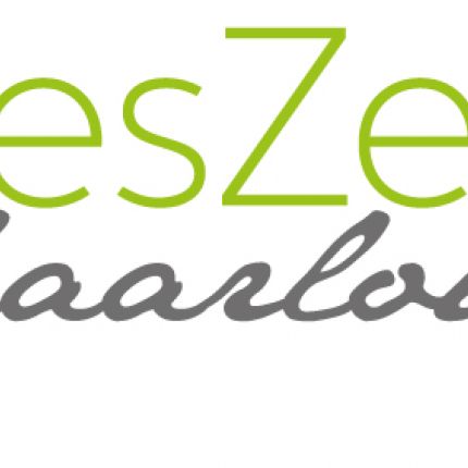Logo fra HaaresZeiten®-Haarlounge 1