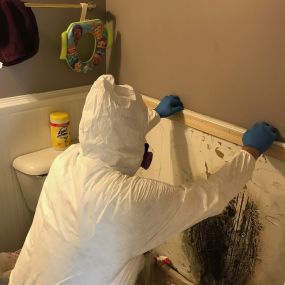 Bathroom wall covered in mold