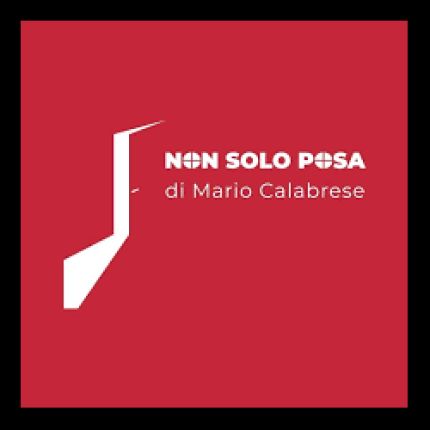 Logo von Non Solo Posa