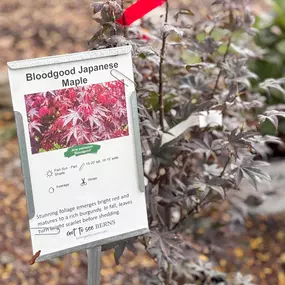 Bild von Berns Garden Center