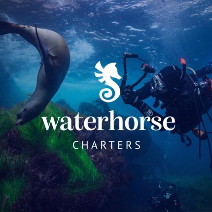 Logotipo de Waterhorse Charters