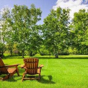 Our highly trained lawn care specialists will accurately assess the condition of your lawn and offer the most effective solution.