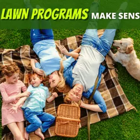 Reasons-Why-Lawn-Programs-Make-Sense