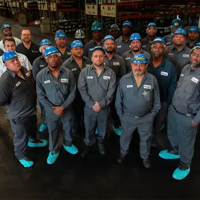 Bestolife Plant Team