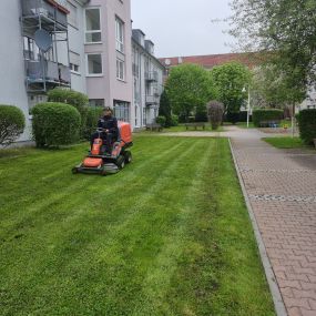 Bild von STM Dienstleistungen | Gebäudemanagement | Hausmeisterservice | Grünpflege