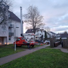 Bild von STM Dienstleistungen | Gebäudemanagement | Hausmeisterservice | Grünpflege