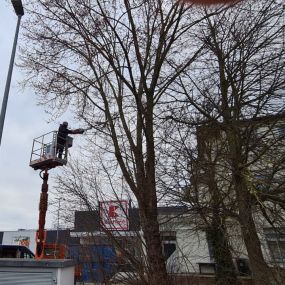 Bild von STM Dienstleistungen | Gebäudemanagement | Hausmeisterservice | Grünpflege