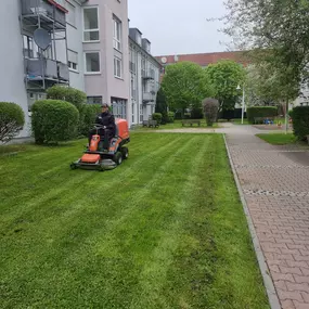 Bild von STM Dienstleistungen | Gebäudemanagement | Hausmeisterservice | Grünpflege