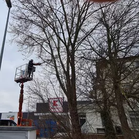 Bild von STM Dienstleistungen | Gebäudemanagement | Hausmeisterservice | Grünpflege