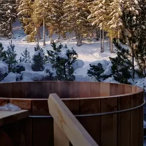 Aman Le Melezin France Accommodation Chambre Ski Piste Bain