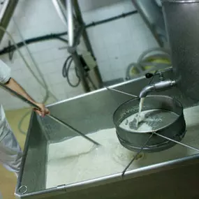 horchata-chove-proceso-03.jpg