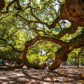 Bild von Indigo Grove by Stanley Martin Homes