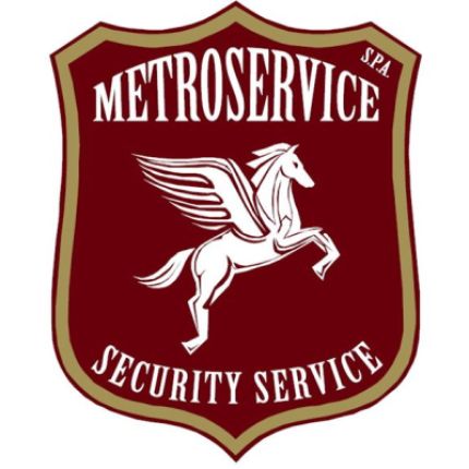 Logo da Metroservice Spa