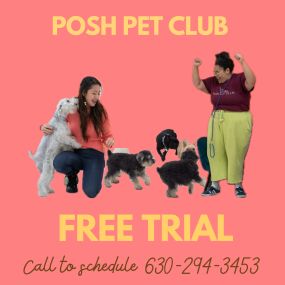Bild von Posh Pet Club