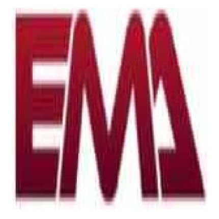 Logo od EMA Structural Forensic Engineers