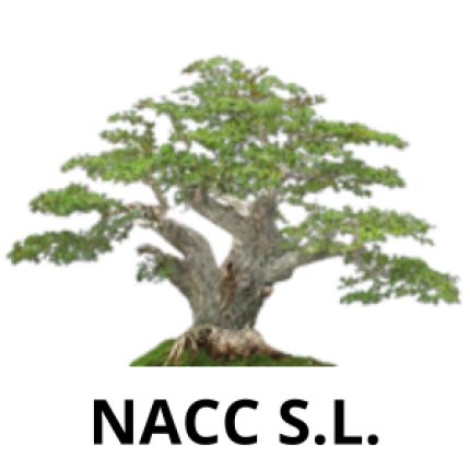Logotyp från North Africa Charcoal Company