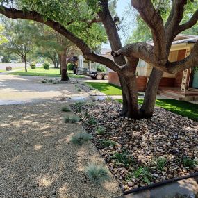 Xeriscaping project in the front lawn!