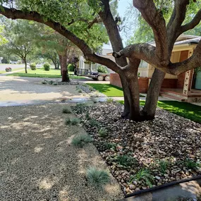 Xeriscaping project in the front lawn!