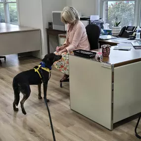 Visits from Shelter pups are our fave!