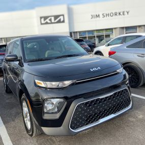 Bild von Jim Shorkey Kia Wexford