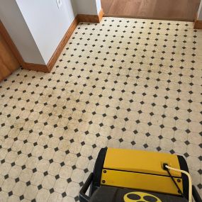 Bild von Downey's Carpet Care of Granville